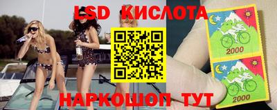 стафф Новокубанск