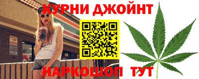 стафф Новозыбков